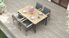 alpha dining chair