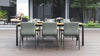 ara dining table