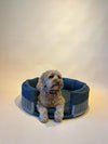 martini dog bed