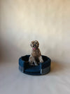 martini dog bed