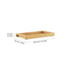 nym tray