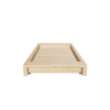 nym tray